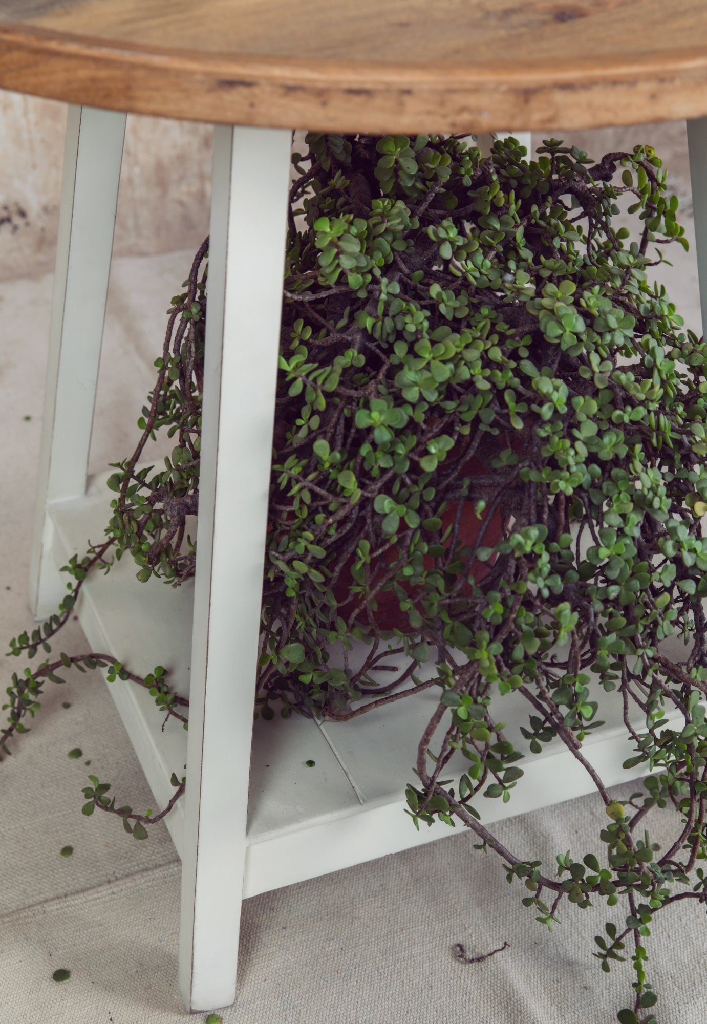 Blake Round Table - Savana Living - One With Wood